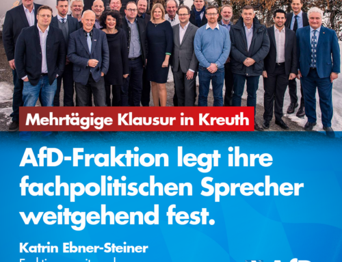 AfD-Fraktion legt ihre fachpolitischen Sprecher weitgehend fest