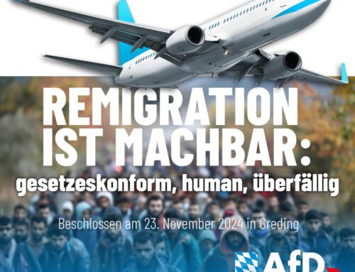 Remigration ist machbar – Pressemitteilung des Landesverbands Bayern der Alternative für Deutschland