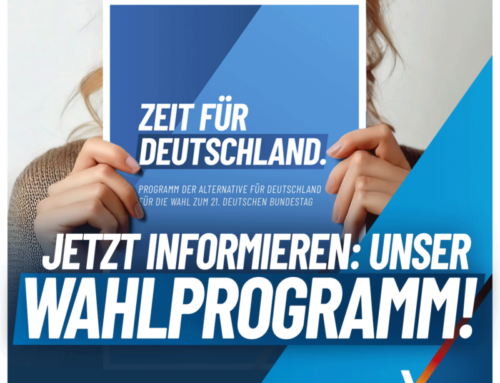 AfD-WAHLPROGRAMM ZUR BUNDESTAGSWAHL 2025