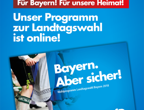 100 Seiten Bayern – AfD veröffentlicht Wahlprogramm
