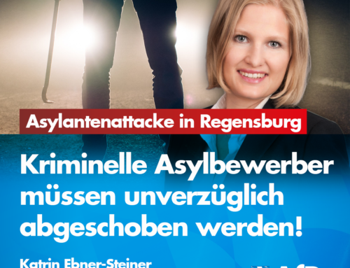 Nach Attacke von Asylbewerbern auf Passanten in Amberg nun ähnlicher Fall in Regensburg