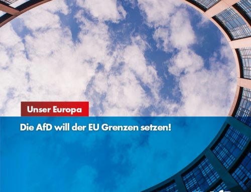 AfD will der EU Grenzen setzen